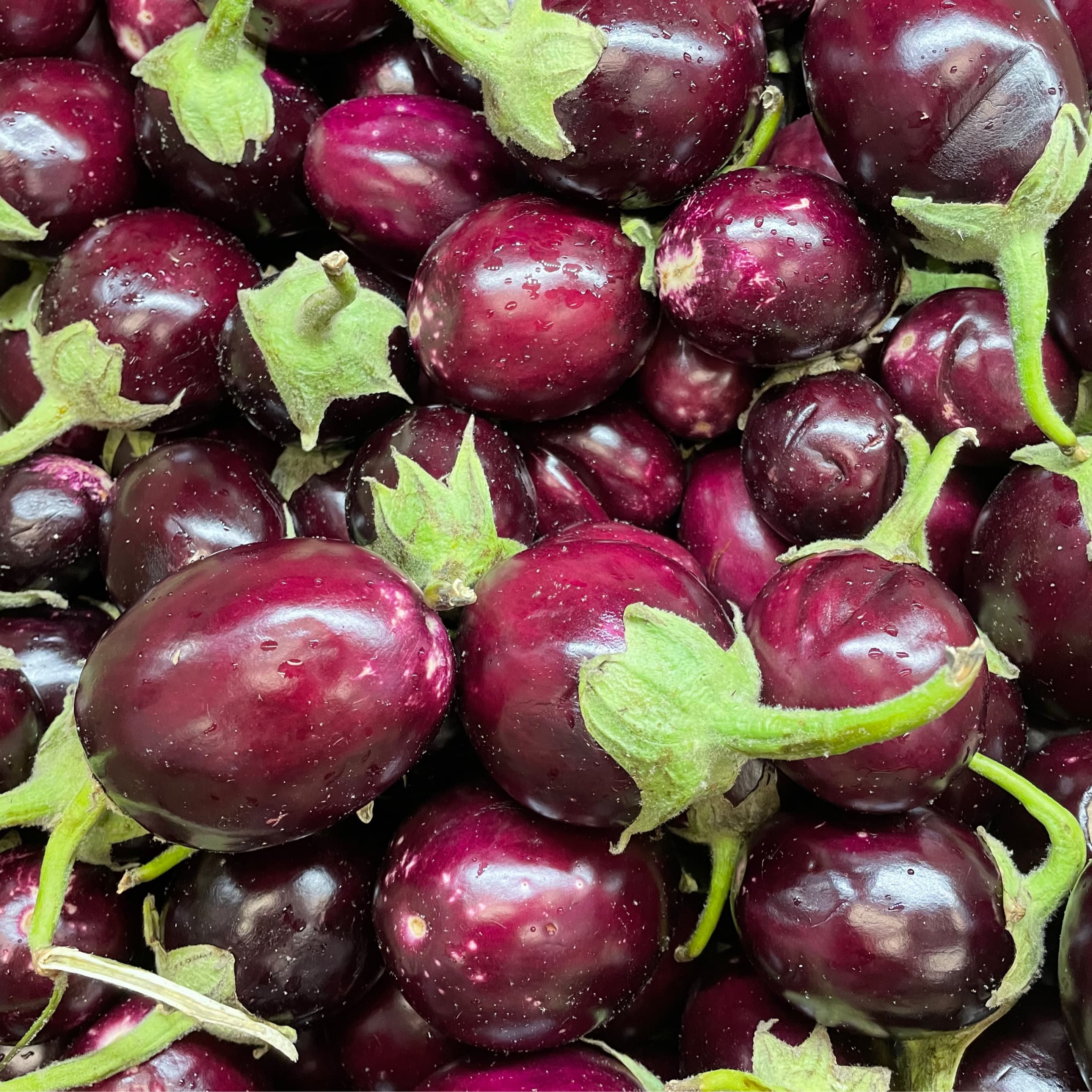 Baby Eggplant