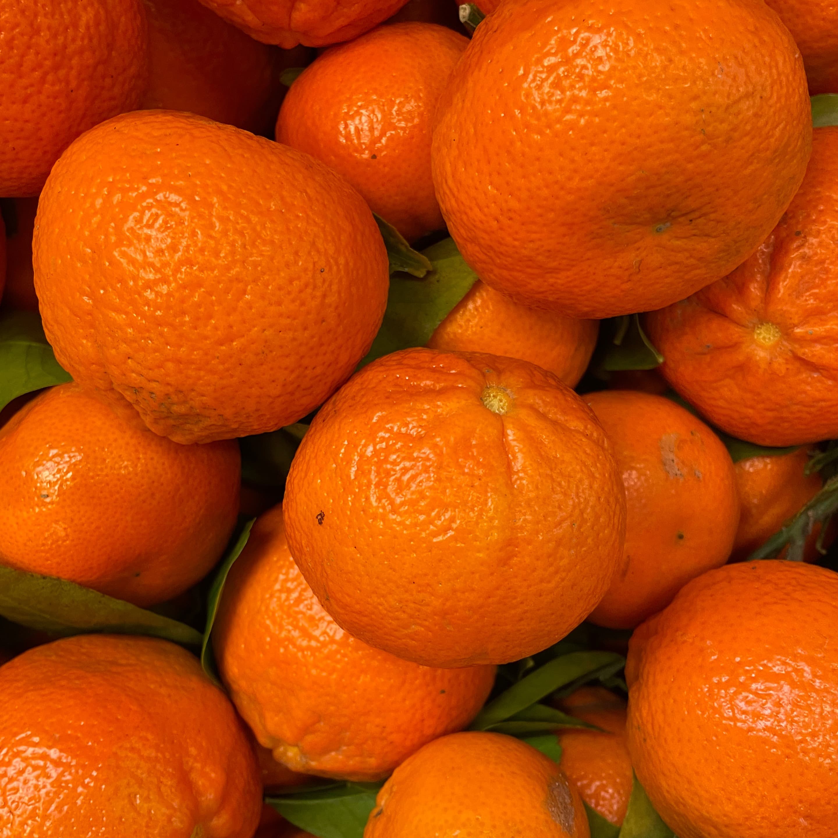 Oranges