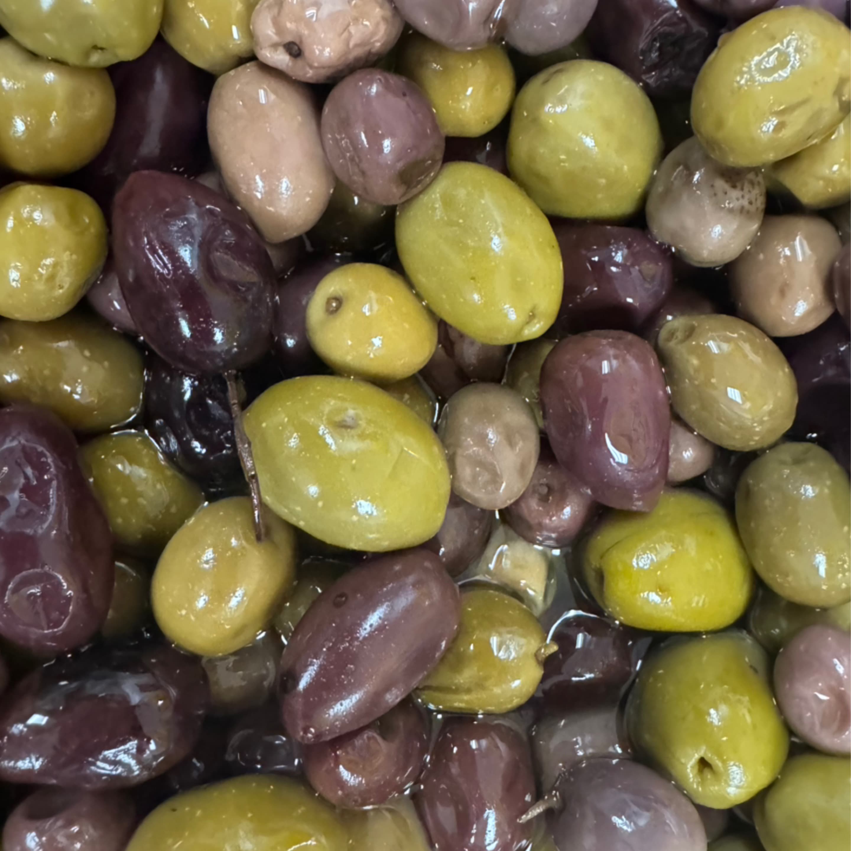 Olives Medley W Pits